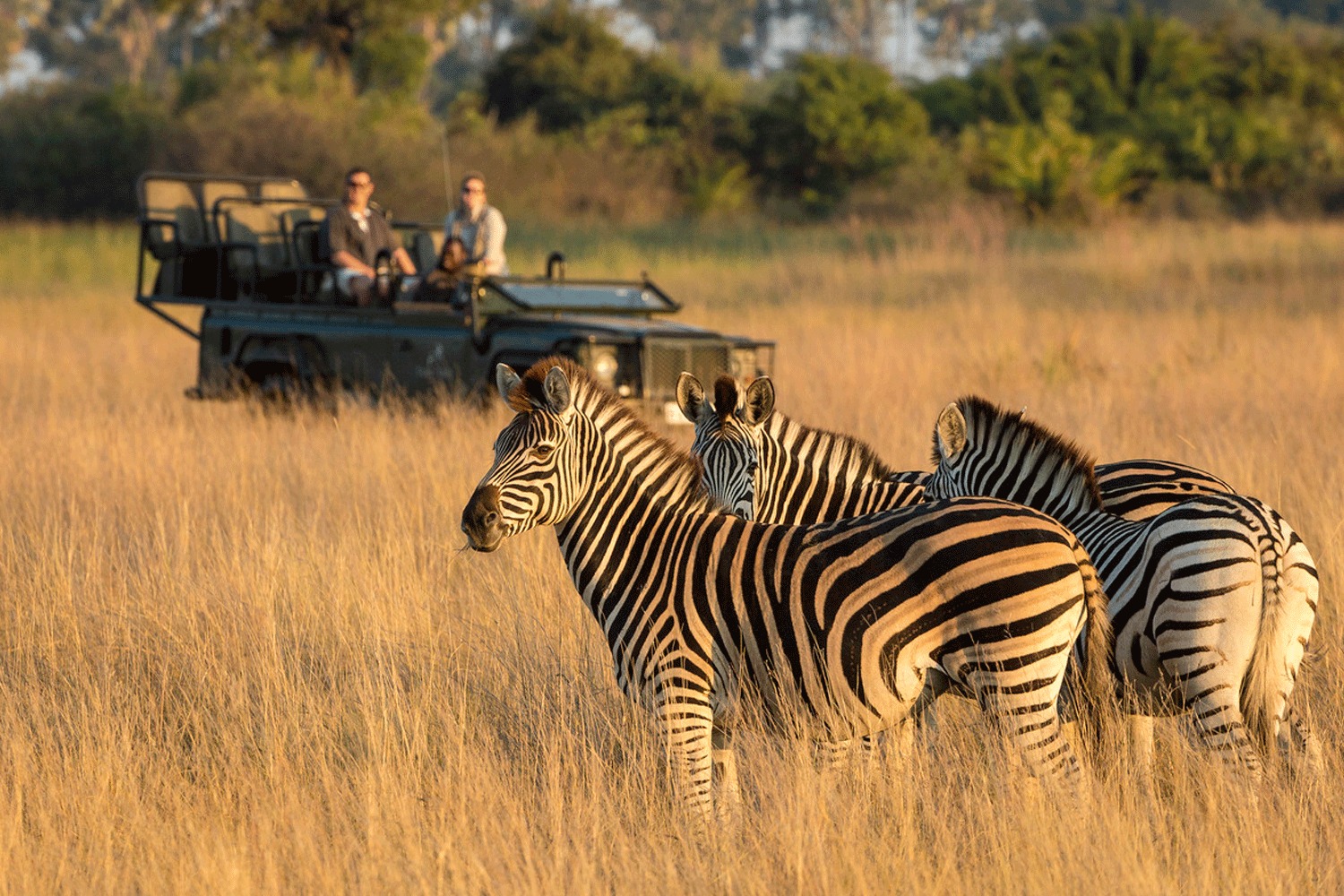 Day 4: Game Drives 